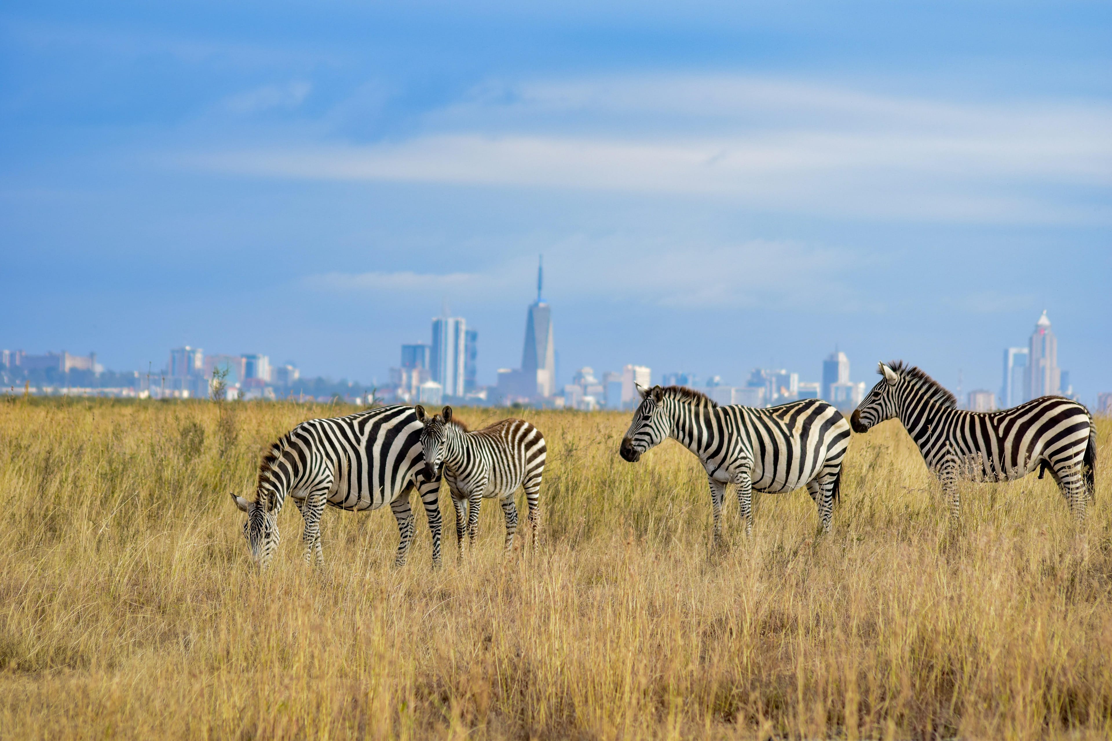 Nairobi, Kenya
