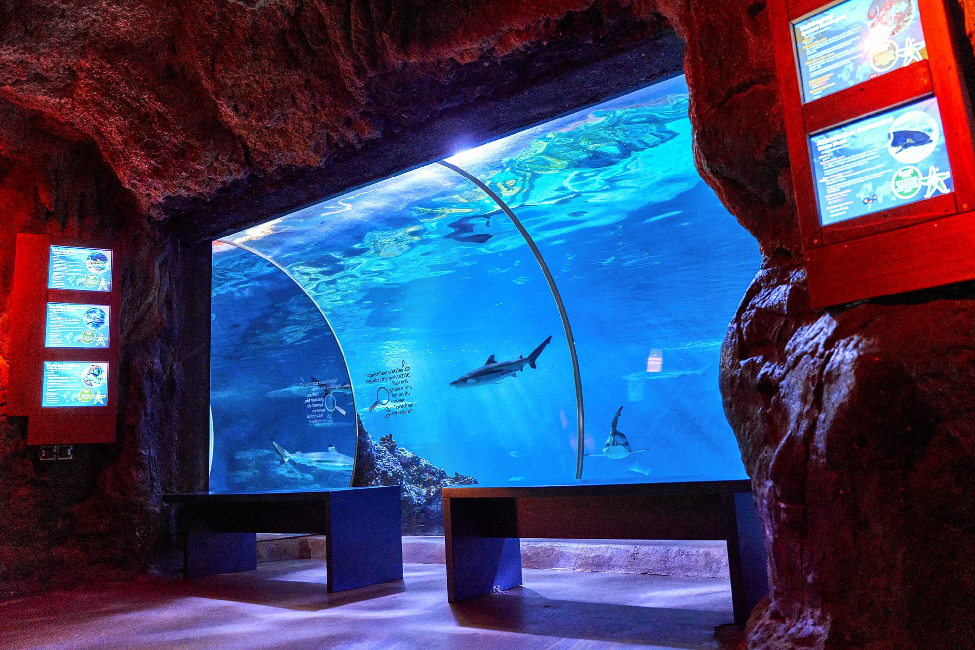 SEA LIFE Oberhausen